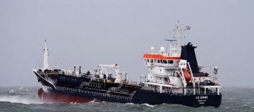 LS ANNE